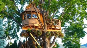 Nhà Gỗ Trên Cây